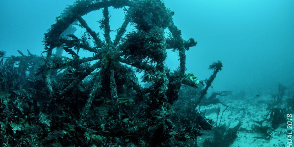 Formation Madéoplongée